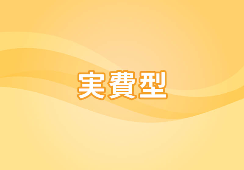 実費型
