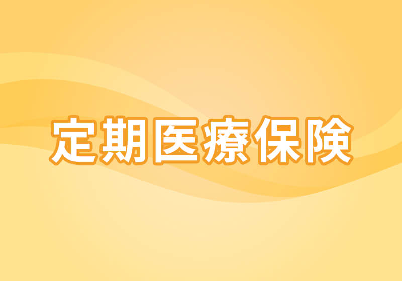 定期医療保険
