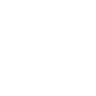 女性保険