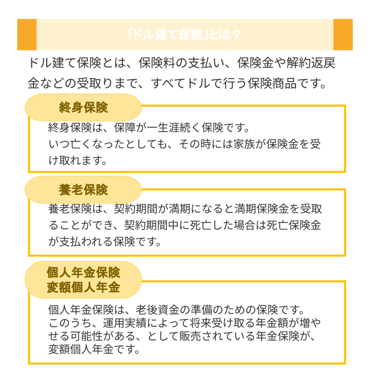 「ドル建て保険」とは？