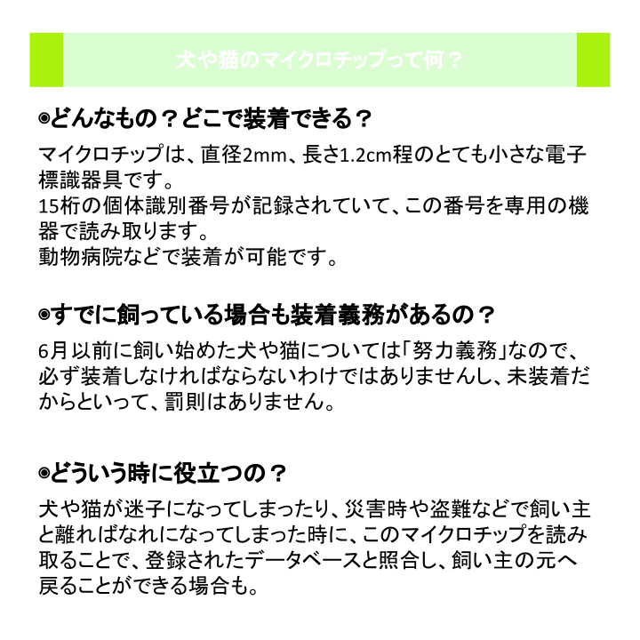 犬や猫のマイクロチップって何？