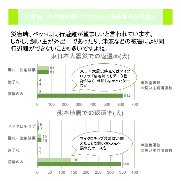 災害時、犬や猫が飼い主のもとへ戻る確率が段違い